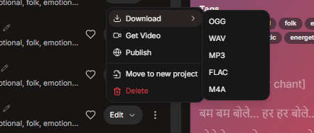 Sonauto AI’s Download Options (Audio, Video, Stems)